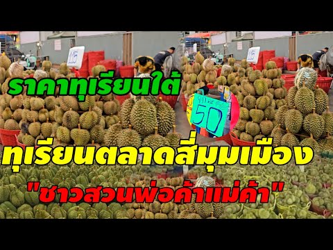 ด่วน!ทุเรียนใต้ราคาส่งแบบนี้‼️