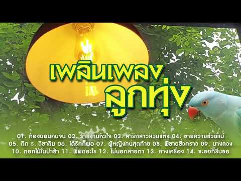 เพลินเพลงลูกทุ่งลารักสาวสวนแต