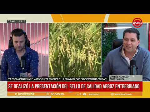 Arroz Entrerriano ya cuenta con su propio sello de calidad - 10/10/24