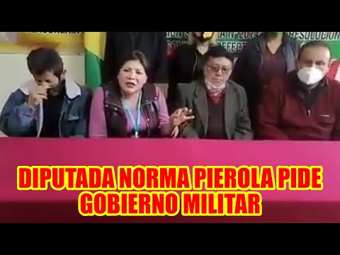 DIPUTADA NORMA PIEROLA Y UN PEQUEÑO GRUPO PERSONAS PIDEN UN GOBIERNO MILITAR..