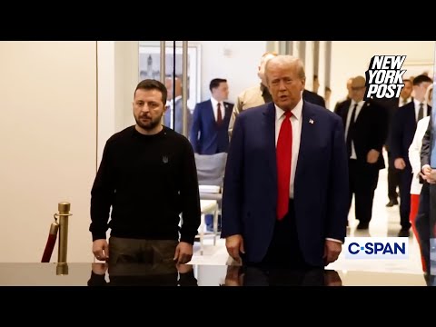 Trump and Zelensky speak to press ahead of meeting