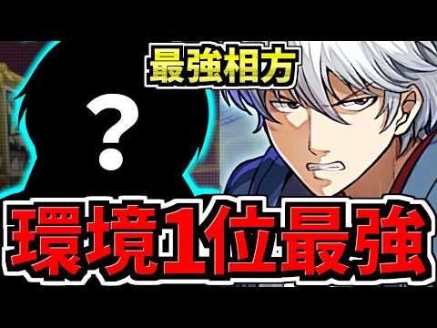 【環境1位】最強相方〇〇×銀時でさらに強くなった最強テンプレ解説！従来の編成より圧倒的に強いです！編成・代用・立ち回り解説！銀魂コラボ【パズドラ】
