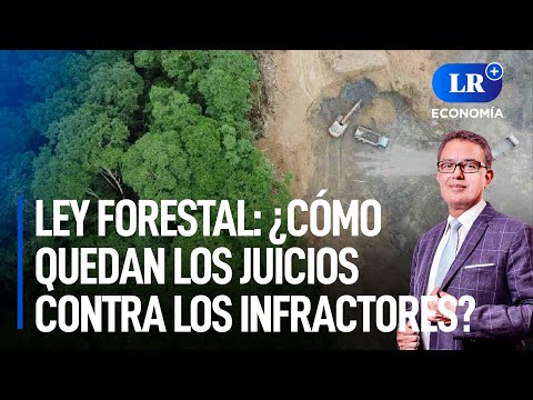 Ley forestal: ¿cómo quedan los juicios contra los infractores? | LR+ Economía