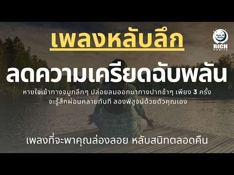 เพลงกล่อมนอนผู้ใหญ่-บำบัดความเ เพลงกล่อมนอนผู้ใหญ่-บำบัดความเ