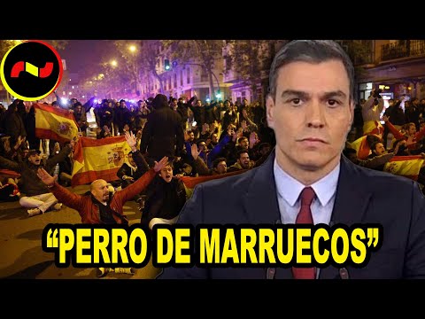 Sánchez ACORRALADO por manifestantes: “PERRO DE MARRUECOS”