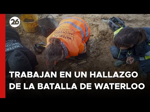 Arqueólogos trabajan en un hallazgo de la batalla de Waterloo