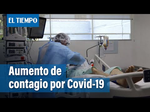 Se reportan 19 muertes por el virus Covid-19  en el mes de noviembre