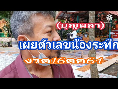 (บุญผลา)เผยตัวเลขลับน้องระทึกง (บุญผลา)เผยตัวเลขลับน้องระทึกง