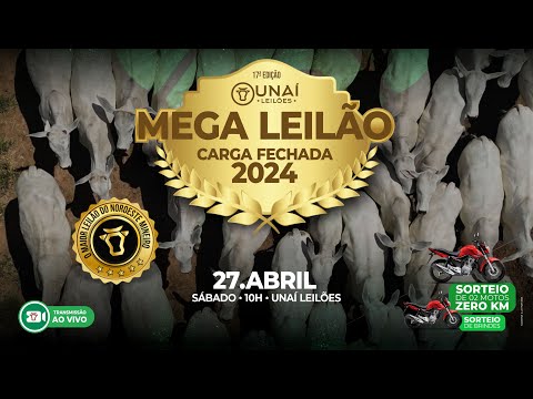 17ª EDIÇÃO MEGA LEILÃO CARGA FECHADA DA UNAÍ LEILÕES - 27-04-2024