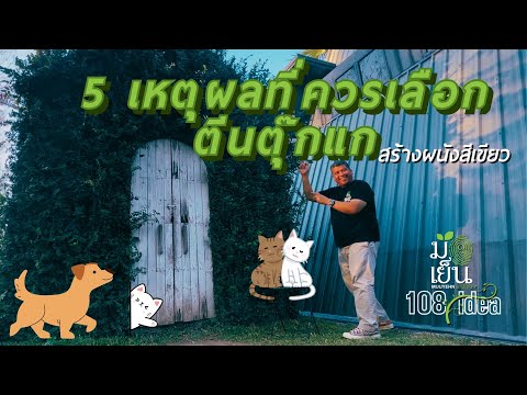 5เหตุผลที่ควรเลือกตีนตุ๊กแกเ