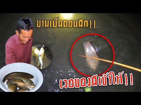 ปลาตัวงามๆ-วันได้ของดีด้วย!!-พ ปลาตัวงามๆ-วันได้ของดีด้วย!!-พ