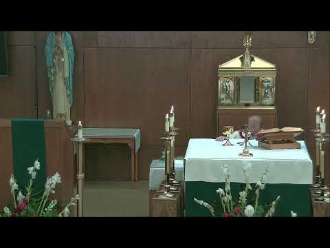 Daily Mass in English | Misa Diaria en Inglés | July 26, 2024