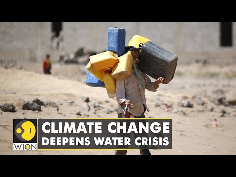 🌎Jordan's worsening water crisis: Growing problem of water scarcity | WION Climate Tracker