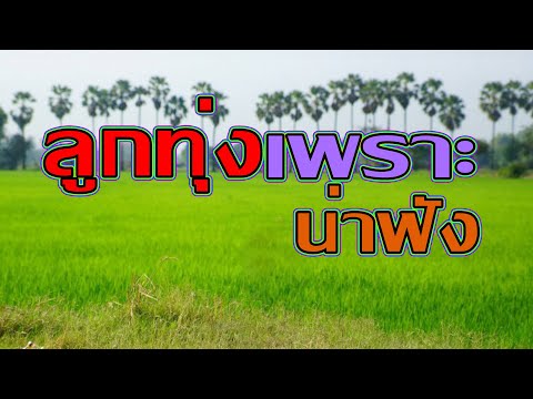 ลูกทุ่งน่าฟัง-รวมเพลงเพราะฟังเ ลูกทุ่งน่าฟัง-รวมเพลงเพราะฟังเ