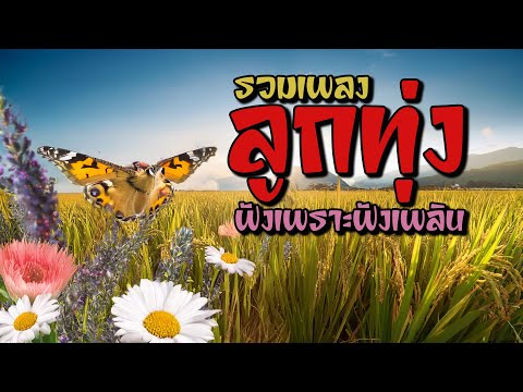 รวมเพลงลูกทุ่งฟังเพราะฟังเพลิ