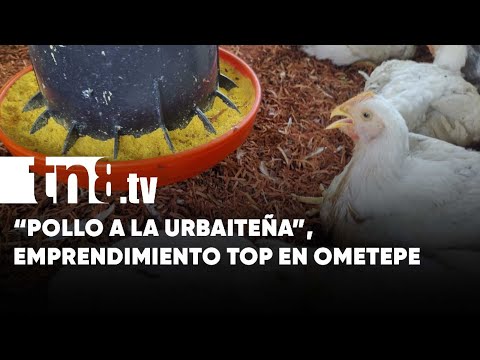 El emprendimiento más «top» de Ometepe: Pollo a la Urbaiteña