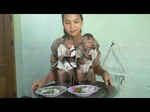 Mim Kuku woke up and ran to the kitchen to ask for breakfast