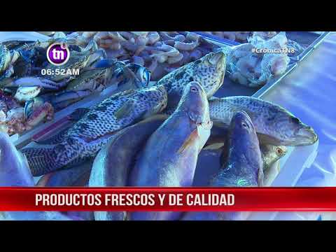 Nicaragua: Alimentos, productos frescos y todo para su pecera en la Feria del Mar