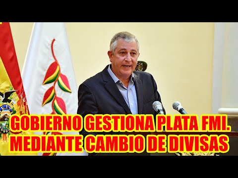 GOBIERNO BUSCA DINERO SIN QUE LE APRUEBE LA ASAMBLEA DEL FMI. MEDIANTE INTERCAMBIO DE DIVISAS..