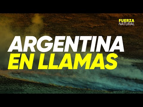 ARGENTINA EN LLAMAS: el fuego arrasa con los RECURSOS NATURALES - #FuerzaNatural