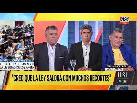 Ley Ómnibus: Creo que la ley saldrá con muchos recortes - Federico González