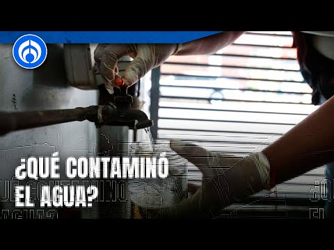 Alcaldía Benito Juárez continua con los estragos del agua contaminada