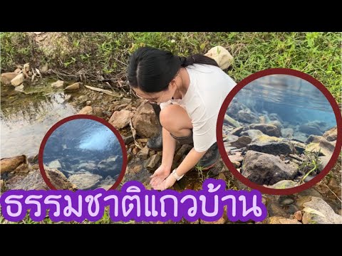 ธรรมชาติแถวบ้านจังหวัดพะเยา