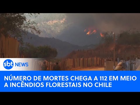 Incêndios Florestais deixam 112 Mortos no Chile|#SBTNewsnaTV(05/02/24)