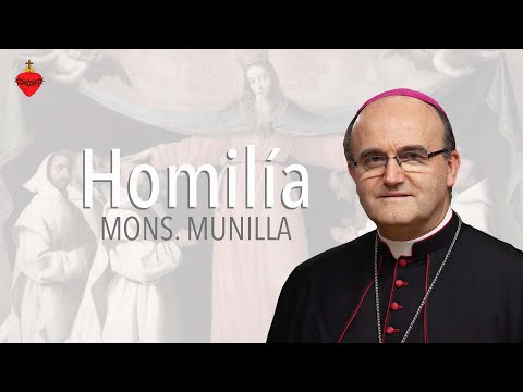 Homilía 24.08.2022 //San Bartolomé