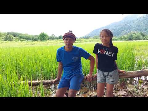 คลิปขอบคุณ-Fcทีติดตามรับชมน้อง คลิปขอบคุณ-Fcทีติดตามรับชมน้อง