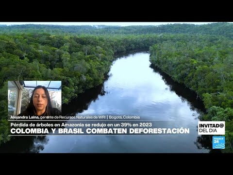 ¿Cómo han logrado Colombia y Brasil combatir la deforestación en la Amazonía?