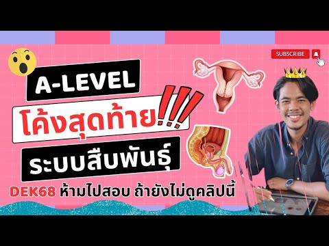 ระบบสืบพันธุ์EP1