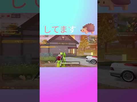 #shorts　ピーさんのツンデレかわいい　#ずんだもん【荒野行動】PC版『KNIVES OUT』「荒野の光」　#荒野行動　 #荒野組  　#荒野再開祭　 #荒野行動純金配布
