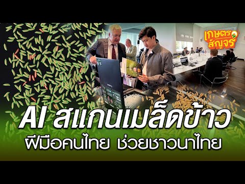 เกษตรสัญจร เครื่องสแกนเมล็ดข้าวด้วยAIแยกพันธุ์และตรวจคุณภาพได้ในพริบตาเ