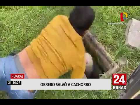 Huaral: obrero rescata a perro que cayó en buzón