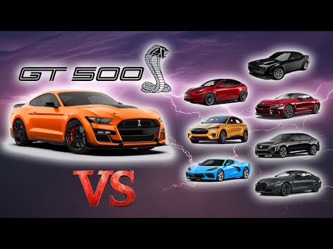 Every Race We Did in Our Ford Mustang Shelby GT500 | Mustang vs. The World