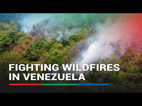 Drone video shows burning wildfires in Venezuela as drought grips Amazon | ABS-CBN News