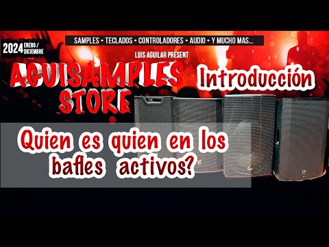 ¿QUIÉN ES QUIÉN EN LOS BAFLES? Primer Capítulo | Introducción