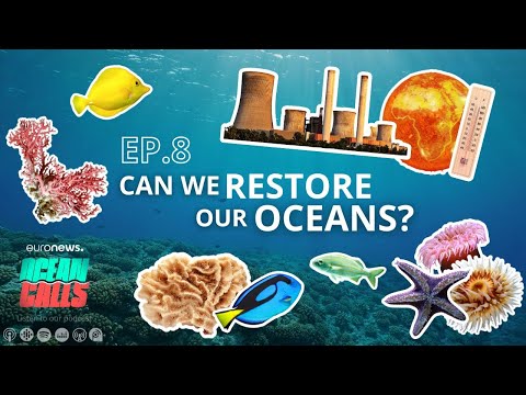 Can we restore our oceans? | Ocean Calls Podcast EP8