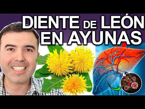 REGENERA! CON DIENTE DE LEON ¿Para Qué Sirve? - Beneficios Para Tu Salud Y Belleza