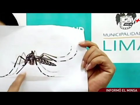 Minsa: seis muertos y más de 9200 casos de dengue se han registrado en Piura