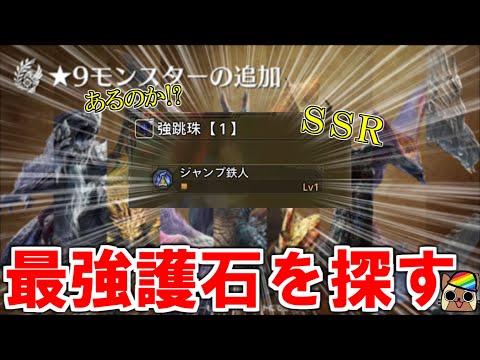 検証材料を集めながら護石周回　モンハンワイルズ