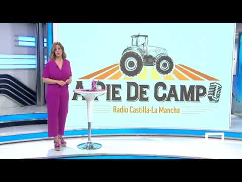 Despierta Player con Cristina Medina  11/5/2023