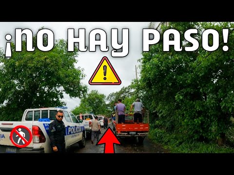 Todos Querían Agarrar Punches  En La Pinta Pero Ocurrió Lo Inesperado