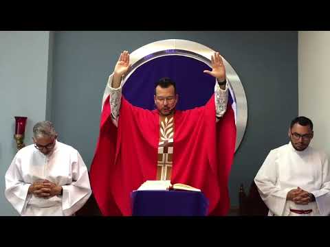 Santa Misa Domingo de Ramos en la Pasión del Señor - 2/abril/2023
