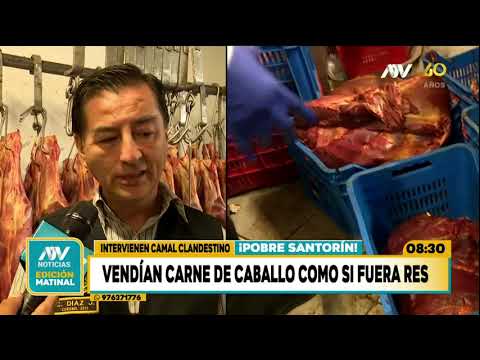 Intervienen camal clandestino: Vendían carne de caballo como si fuera res