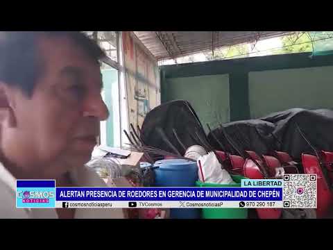 Alertan en Chepén: presencia de roedores en Gerencia de Servicios Públicos de la municipalidad