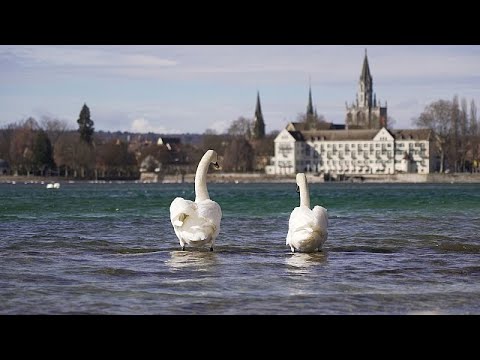 SeeWandel o el proyecto comunitario que pretende salvar al 'agonizante' lago Constanza