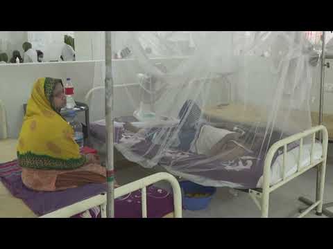 Bangladesh: Más de 1.000 muertos este año por dengue