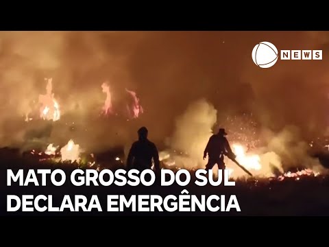 Mato Grosso do Sul declara situação de emergência em decorrência dos incêndios no estado